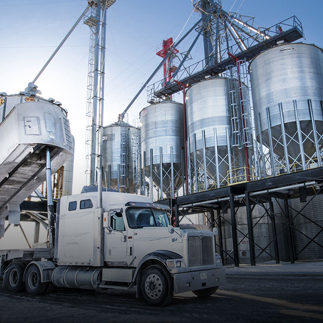 Ceresco Services for soybean producers and buyers